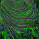 Illustration for article titled Spacemon - Chapter 9: Into the Void